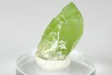 Green Olivine Peridot Crystal - Pakistan #185248-1